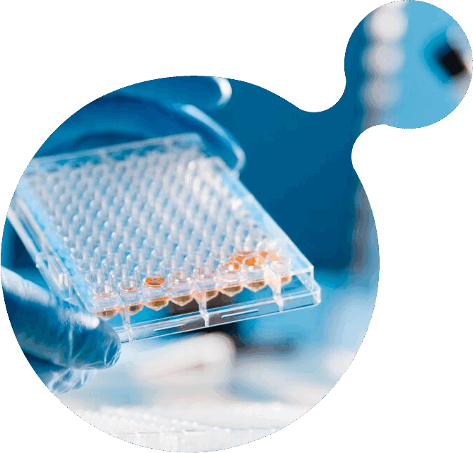 Polypeptide impurity