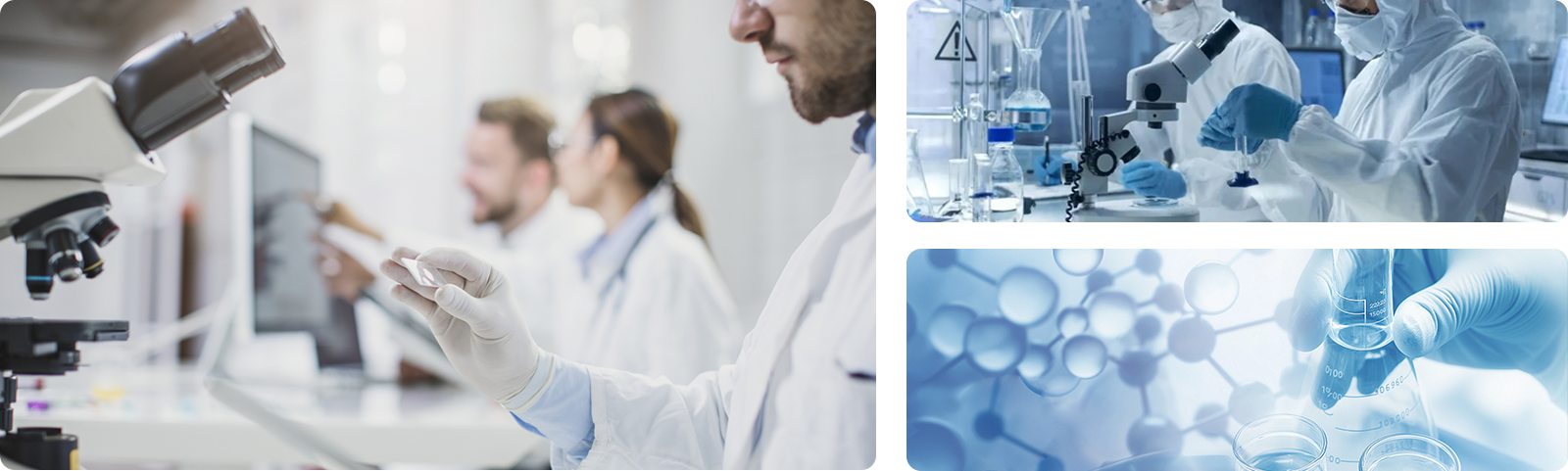 About Hotide Biotech